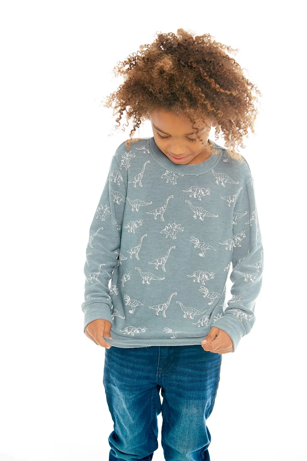 CHASER KIDS - Boys Cozy Knit Pullover Sweater "Dino Dance"