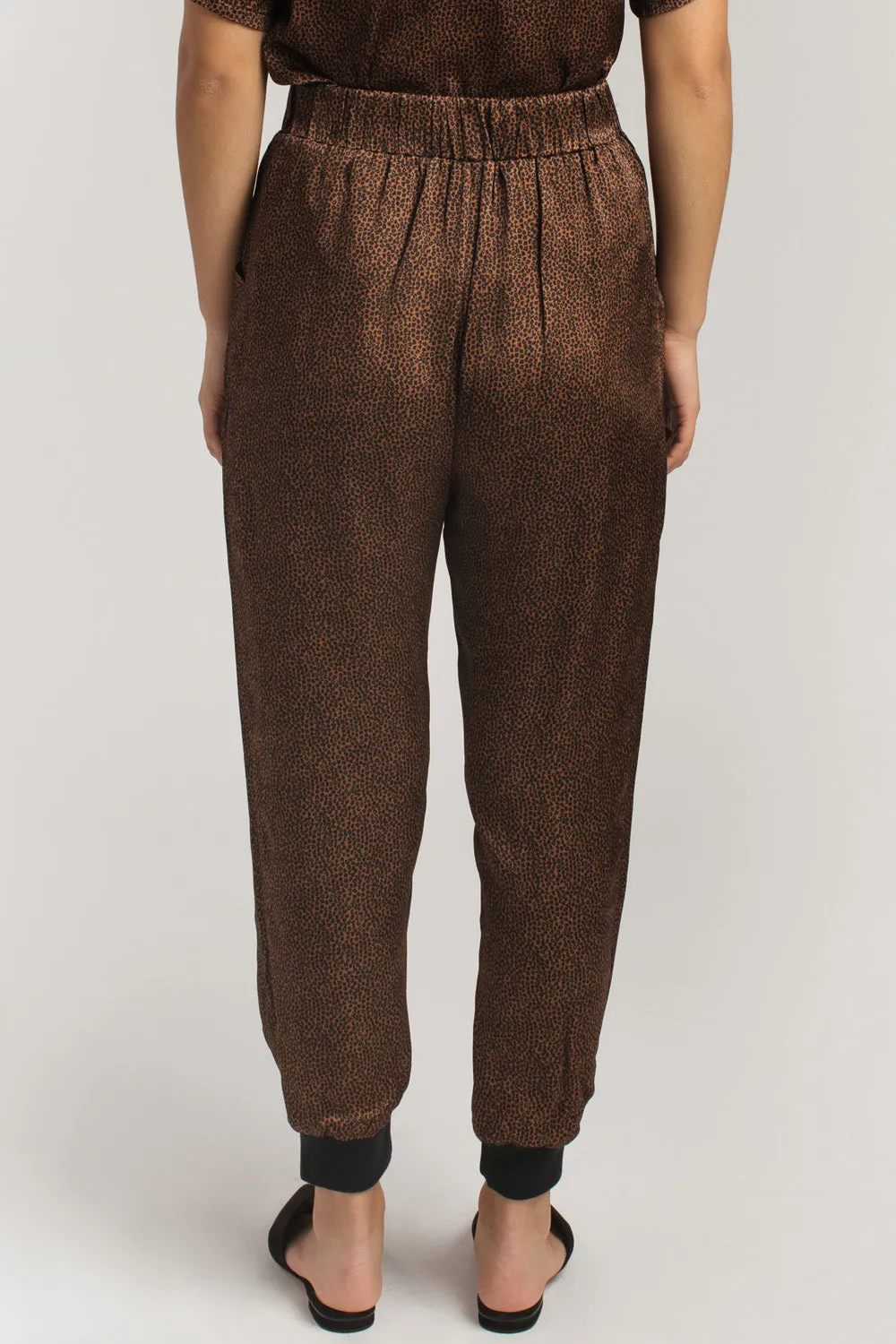 Jazz Pants Animal Print