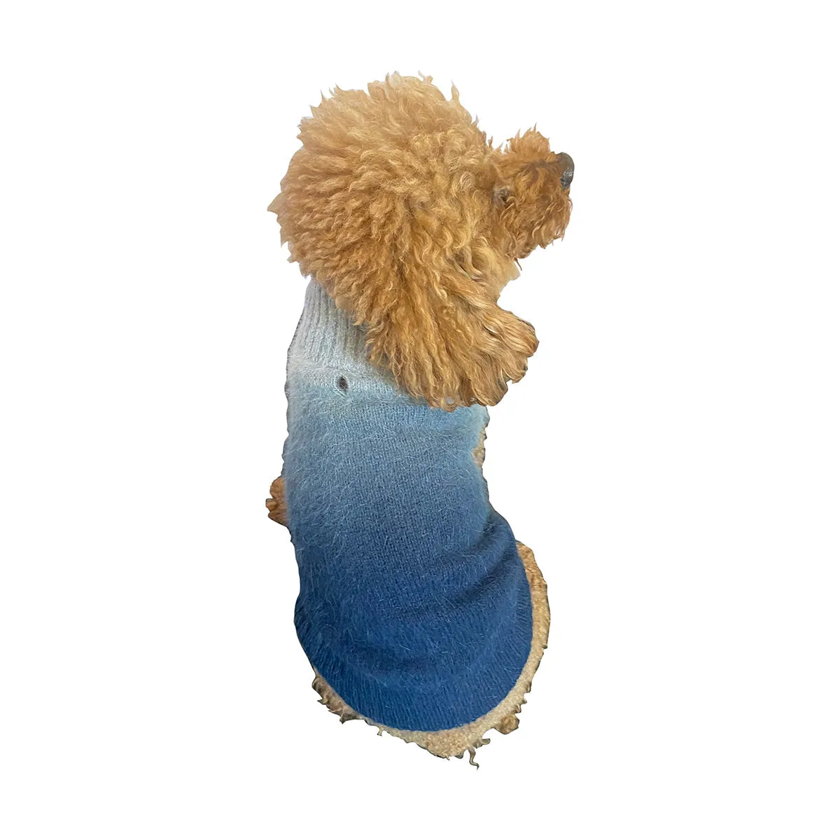 Newport Beach Dog Sweater Ocean Ombre