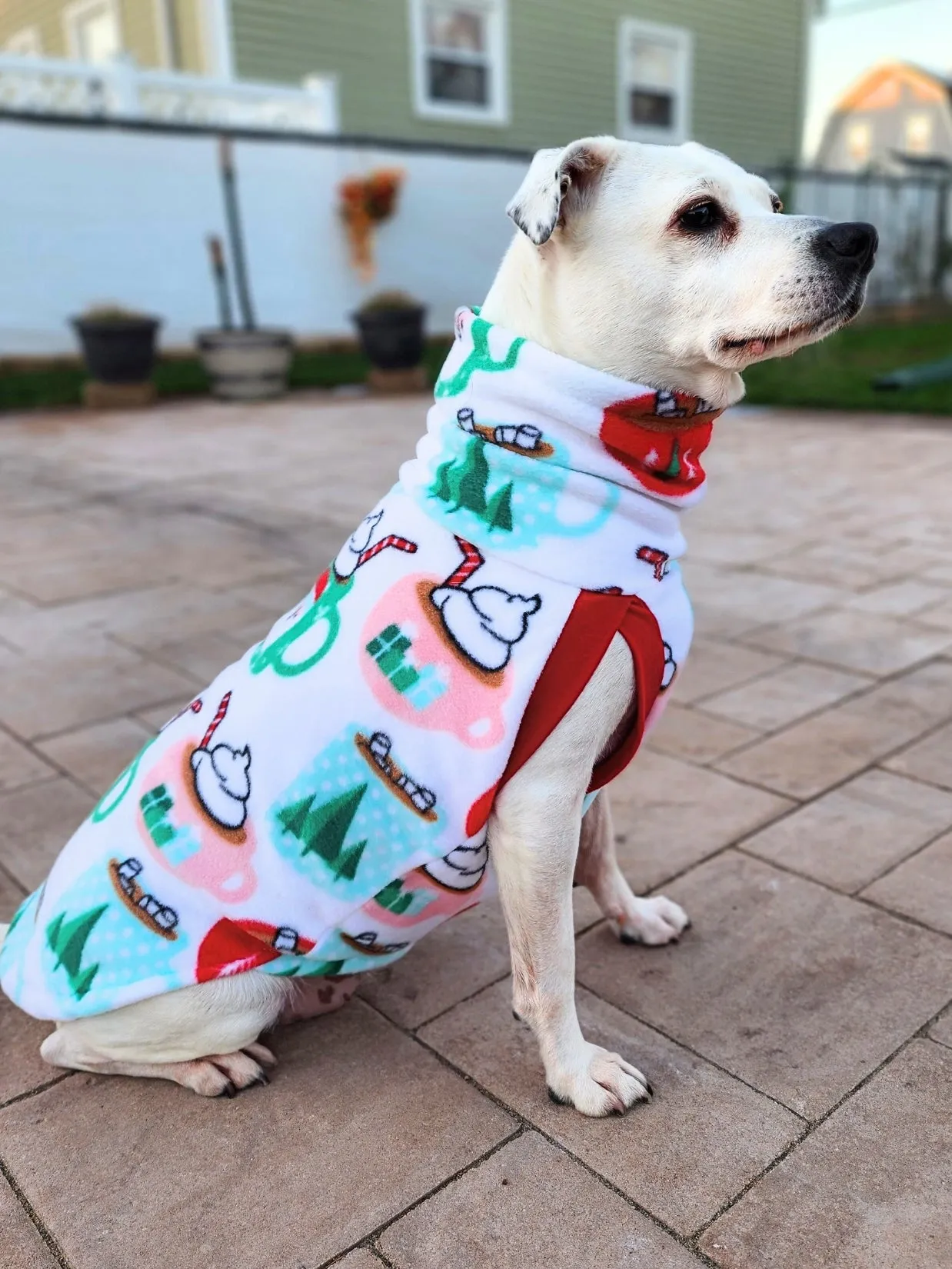 Santa Cocoa Mugs Dog Sweater